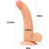 Set Strap-On si Dildo Easy Ingen Natural Thumb 4