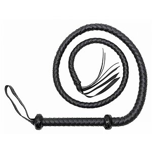 Bici Whip 155 cm Negru Bici Whip 155 cm Negru pe Denysa.ro