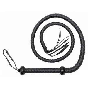 Bici Whip 155 cm Negru Bici Whip 155 cm Negru pe Denysa.ro