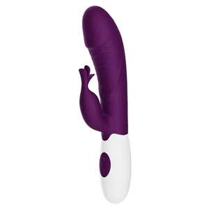 Pretty Love Rasmussen Purple, Dual Stimulator 30 Vibrații Mov Pretty Love Rasmussen Purple, Dual Stimulator 30 Vibrații Mov pe Denysa.ro
