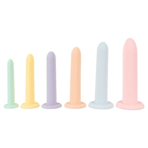 Dildouri Siliconice Cu Ventuza Mare Set Antrenament Anal 6 Piese
