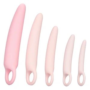 Set Dilatatoare Genitale Inspire Silicone Roz Set Dilatatoare Genitale Inspire Silicone Roz pe Denysa.ro