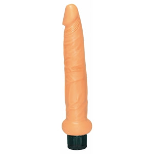 Vibrator 7Zoll 20cm Mini Vibrator 7Zoll 20cm Mini pe Denysa.ro