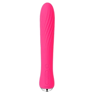 Vibrator Cu Telecomanda Pentru Jocuri In Cuplu Vibrator Reincarcabil Usb Cu Functie Incalzire